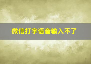 微信打字语音输入不了