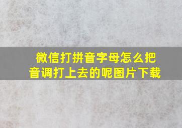 微信打拼音字母怎么把音调打上去的呢图片下载