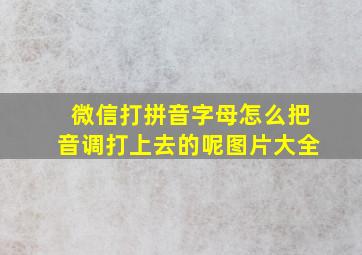 微信打拼音字母怎么把音调打上去的呢图片大全