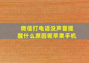 微信打电话没声音提醒什么原因呢苹果手机