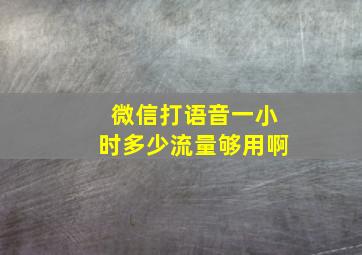 微信打语音一小时多少流量够用啊