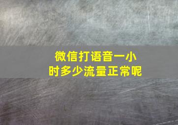 微信打语音一小时多少流量正常呢