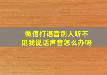 微信打语音别人听不见我说话声音怎么办呀