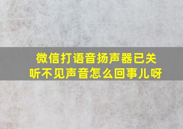 微信打语音扬声器已关听不见声音怎么回事儿呀