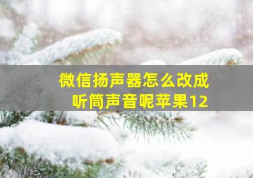 微信扬声器怎么改成听筒声音呢苹果12