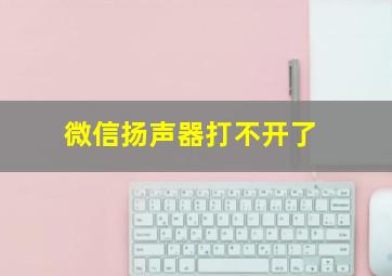 微信扬声器打不开了