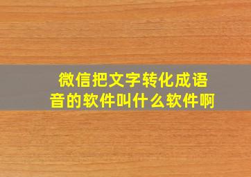 微信把文字转化成语音的软件叫什么软件啊