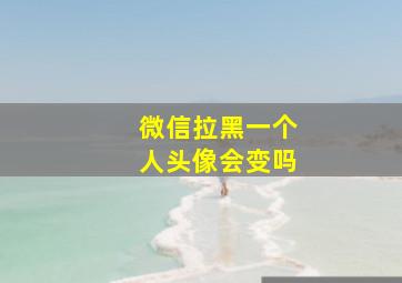 微信拉黑一个人头像会变吗