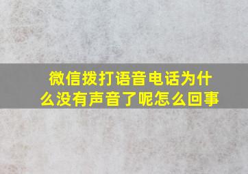 微信拨打语音电话为什么没有声音了呢怎么回事