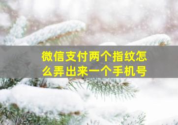 微信支付两个指纹怎么弄出来一个手机号