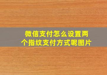 微信支付怎么设置两个指纹支付方式呢图片