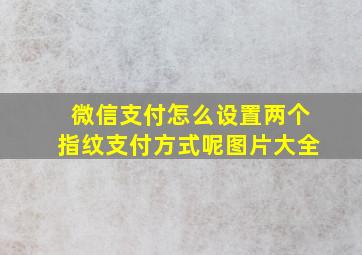 微信支付怎么设置两个指纹支付方式呢图片大全