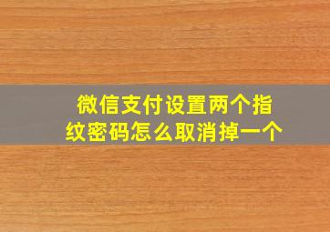 微信支付设置两个指纹密码怎么取消掉一个