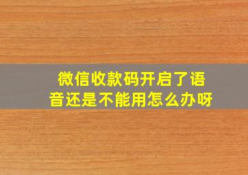 微信收款码开启了语音还是不能用怎么办呀