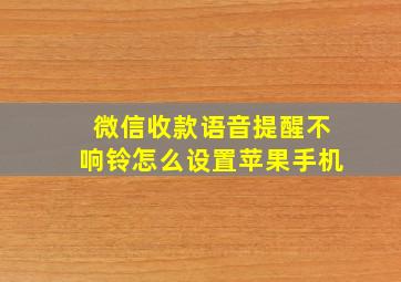 微信收款语音提醒不响铃怎么设置苹果手机