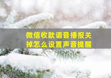 微信收款语音播报关掉怎么设置声音提醒