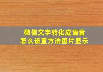 微信文字转化成语音怎么设置方法图片显示