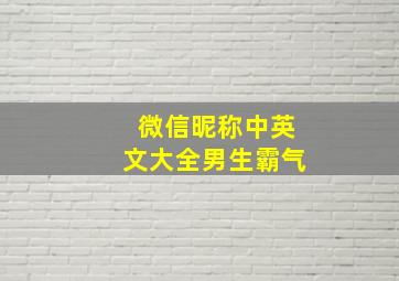 微信昵称中英文大全男生霸气