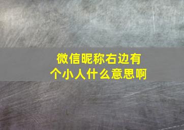 微信昵称右边有个小人什么意思啊