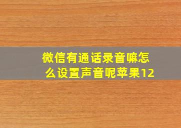 微信有通话录音嘛怎么设置声音呢苹果12