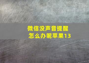 微信没声音提醒怎么办呢苹果13