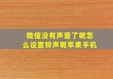 微信没有声音了呢怎么设置铃声呢苹果手机