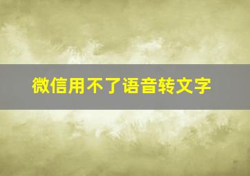 微信用不了语音转文字