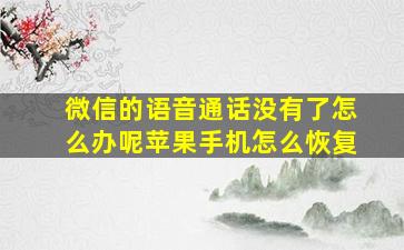 微信的语音通话没有了怎么办呢苹果手机怎么恢复