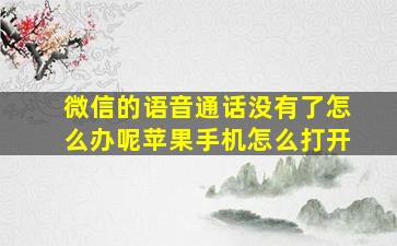 微信的语音通话没有了怎么办呢苹果手机怎么打开