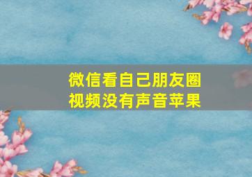 微信看自己朋友圈视频没有声音苹果