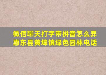 微信聊天打字带拼音怎么弄惠东县黄埠镇绿色园林电话