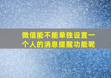 微信能不能单独设置一个人的消息提醒功能呢