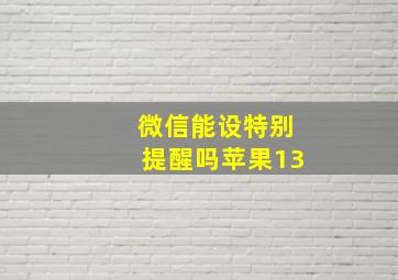 微信能设特别提醒吗苹果13