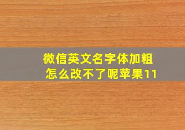 微信英文名字体加粗怎么改不了呢苹果11