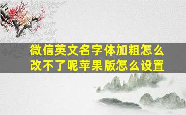 微信英文名字体加粗怎么改不了呢苹果版怎么设置