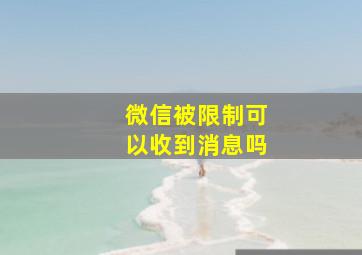 微信被限制可以收到消息吗