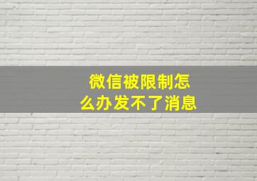 微信被限制怎么办发不了消息