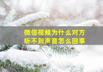 微信视频为什么对方听不到声音怎么回事