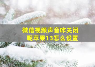 微信视频声音咋关闭呢苹果13怎么设置