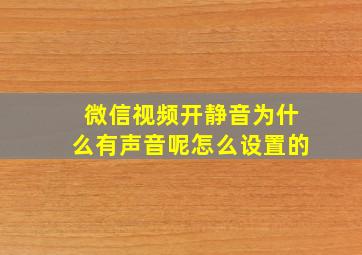 微信视频开静音为什么有声音呢怎么设置的