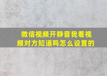 微信视频开静音我看视频对方知道吗怎么设置的