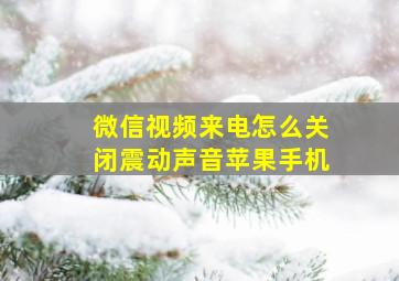 微信视频来电怎么关闭震动声音苹果手机