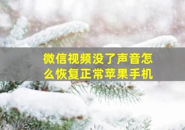 微信视频没了声音怎么恢复正常苹果手机