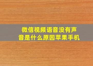 微信视频语音没有声音是什么原因苹果手机