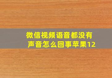 微信视频语音都没有声音怎么回事苹果12