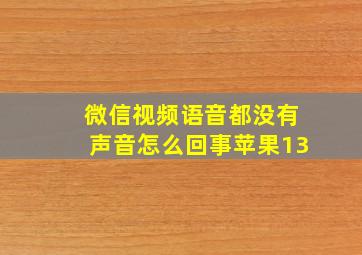 微信视频语音都没有声音怎么回事苹果13