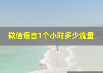 微信语音1个小时多少流量