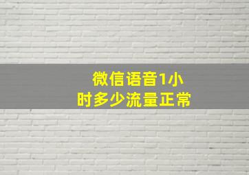 微信语音1小时多少流量正常