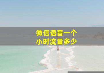 微信语音一个小时流量多少