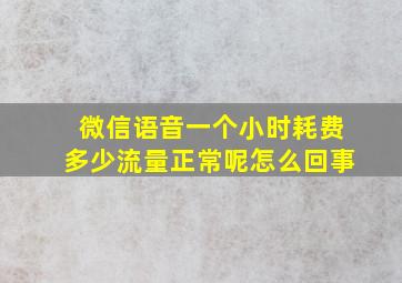 微信语音一个小时耗费多少流量正常呢怎么回事